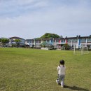 서삼초교병설유치원 이미지