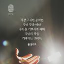 가정중앙시장(1) 이미지