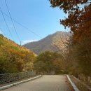 태고사로 | 가을 단풍구경 🍁 원효대사 사찰 / 뷰포인트 / 포토스팟 / 주차장 :: 금산 태고사