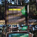 솔향수목원(솔숲광장) 네이버블로그