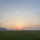 엄마랑 레오랑 강화도 뽀아하우스