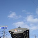 강릉제일오토 | 빈티지 디카 후기) 펜탁스 옵티오 S7 작례 (feat. 강릉여행)