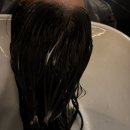좋은카센터 광택클리닉 | 서현역 헤어 클리닉 추천 | 헤어더뷰 스페셜 클리닉 솔직 후기 (수아디자이너)