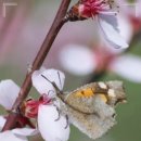 선한이치과의원 이미지