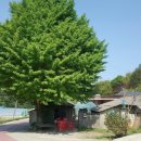 남해밥상 이미지