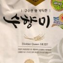 수미향