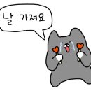 신사약방진
