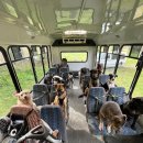 댕댕이버스 이미지