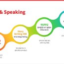 홀릭영 이미지