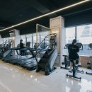 짐샤크 하안점 이미지