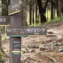 송무인 동명태권도 이미지