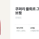 비노브라더스 이미지