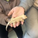 마리앤쥬(ZOO) 이미지