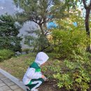 아트 클레이(6세 이상) | [서울시립 북서울미술관] 6살 아이랑ㅣ어린이 미술관 솔직후기