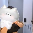 제이멍 | [홍대] 홍대입구 제이필의원 컷주사 후기 | 하복부·옆구리 500cc 시술 경험담