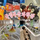 수산과학관 전시관 1층 화장실 | [공지] 추운 겨울 33개월 아기랑 국립부산과학관｜상설전시관·어린이과학관·새싹누리관까지 | 방문 Tip