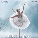 서울시티발레단 백조의 호수 이미지