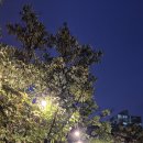 영등포공원 | 영등포공원 영등포구 원조 맥주축제 후기와 가는법