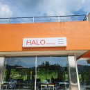 할로인풍 이미지