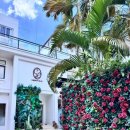 (주)씨엘피코리아 | #호치민 내성발톱 :: 문제성발톱 케어 씨엘케이뷰티 솔직후기