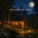평창캠핑장펜션(캠프스텔라) | 평창에 이런 곳이? 달빛·숲·오두막까지 갖춘 ‘달밭리트릿’ 완벽 정리