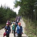 제11회 10km 걷기-대관령 신재생에너지전시관 가는 길 이미지