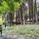 주작산자연휴양림