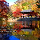 방송에서 쓰는 낯선 단어들 모음 이미지