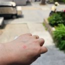 현성당구장 이미지