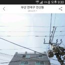 수민동-4 이미지