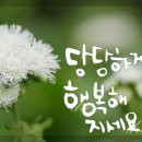 예쁜글씨 이미지