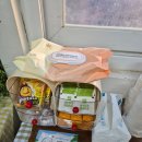 동일리-7 | 제주 돌고래 힐링투어 아이랑 서쪽여행코스 추천