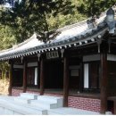 유림-24 Daum카페