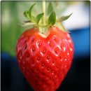 김용선 농장 이미지