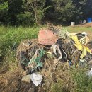 탑코리아 이미지