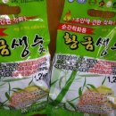 대나무PC 이미지