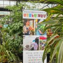 성은어린이집 | [성은꽃농원] 장애인 원예체험 화분심기 클래스 후기