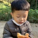 앵봉산생태놀이터 화장실 이미지