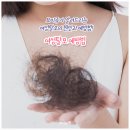 보비쥬헤어