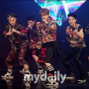 데일리 복싱 이미지