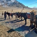 이재현치과의원 | [공지] 수원 영통 경희수한의원 이재현 한의사 몽골 에르덴 해외의료봉사 후기