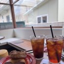 베어정비공업사 | 창원 가로수길 디저트 맛집 컵넛 후기입니다 5개월 아기와 함께 방문한 솔직 리뷰!(주차꿀팁, 애견동반...