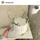 스위티그케이크