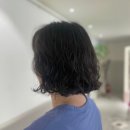 유어디어 이미지