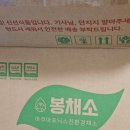 신선야채 - 청주시 흥덕구 풍년로160번길 38 | 무농약 아쿠아포닉스 농법으로 만난 신선함, 봉채소 유러피안 샐러드 야채 후기