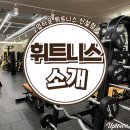 업타운 휘트니스 신설점 | [신설동헬스장/신설동PT]업타운휘트니스 신설점 알아보기