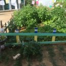 고창민박 이미지