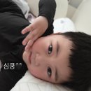 뽑기노리 | 일상의 행복
