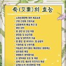 에덴쑥훈증테라피 이미지
