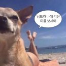 (주)모음